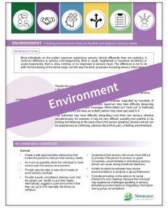 six principles, experience autism, environment resource