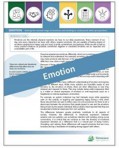 six principles, experience autism, emotion resource